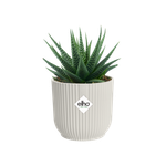 vibes fold round mini 9cm silky white